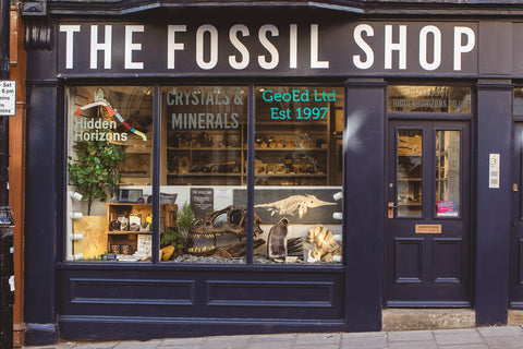 Fossil Shop Scarborough