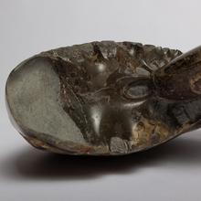 Load image into Gallery viewer, Phylloceras heterophyllum Ammonite From Saltwick Bay. 185mya.
