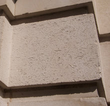 Load image into Gallery viewer, York Family Fossil Hunt - 10:30am - 4 Aug 2022
